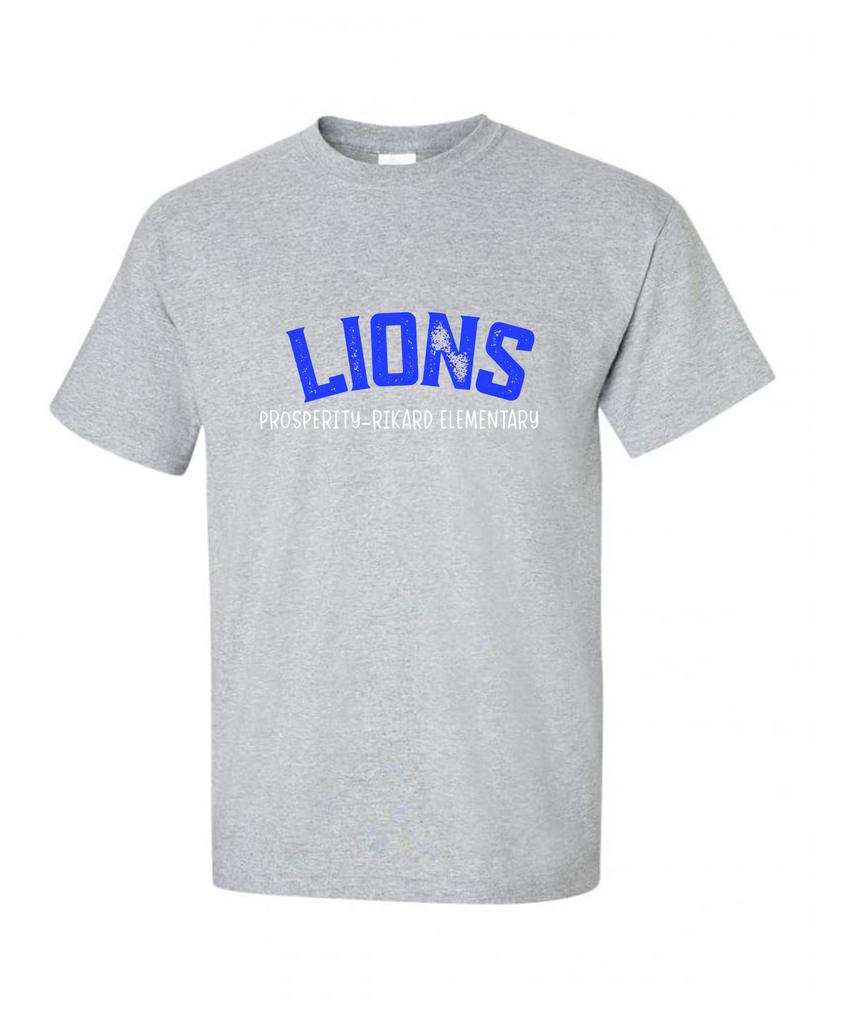 Lions Distressed Tee