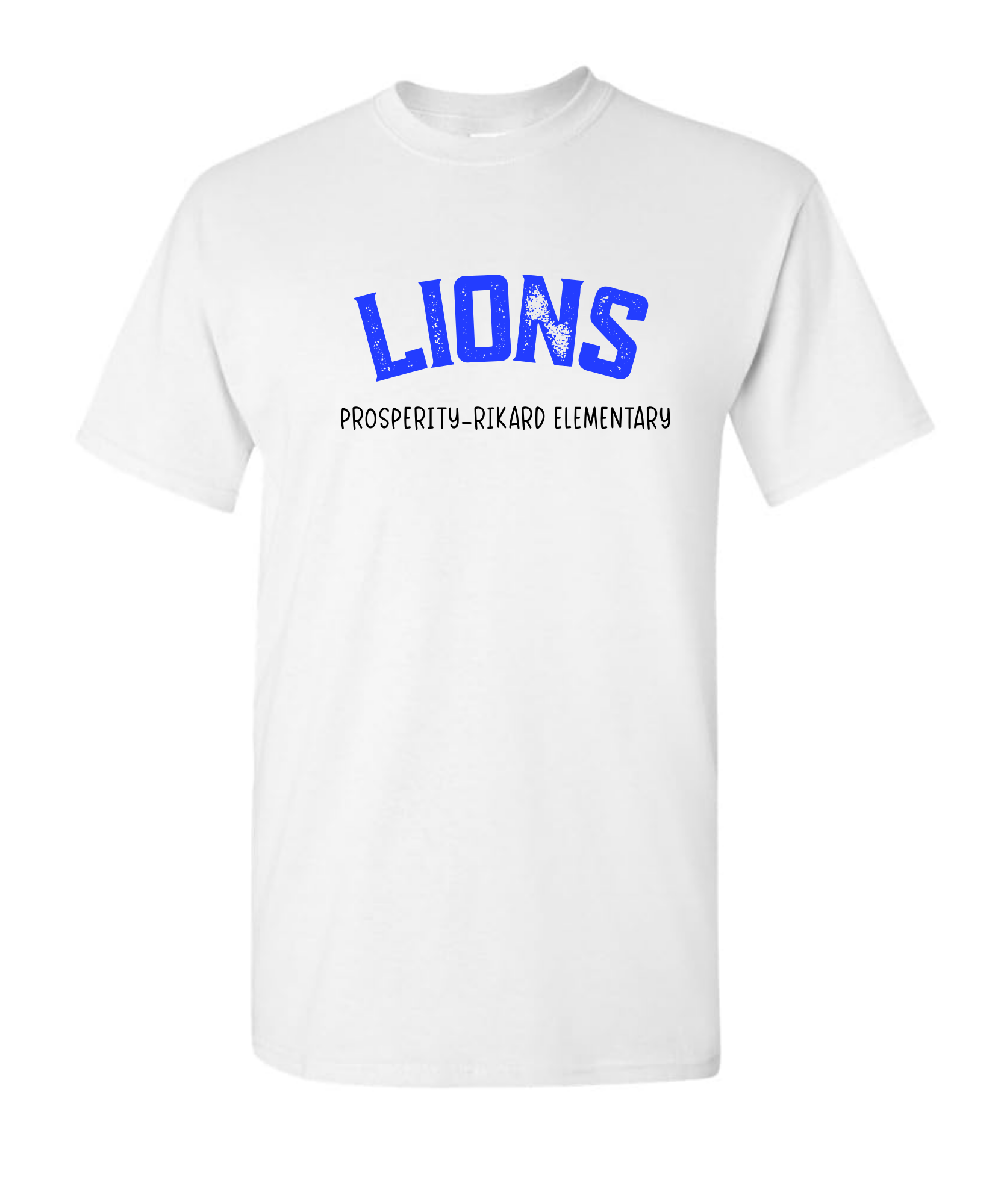 Lions Distressed Tee