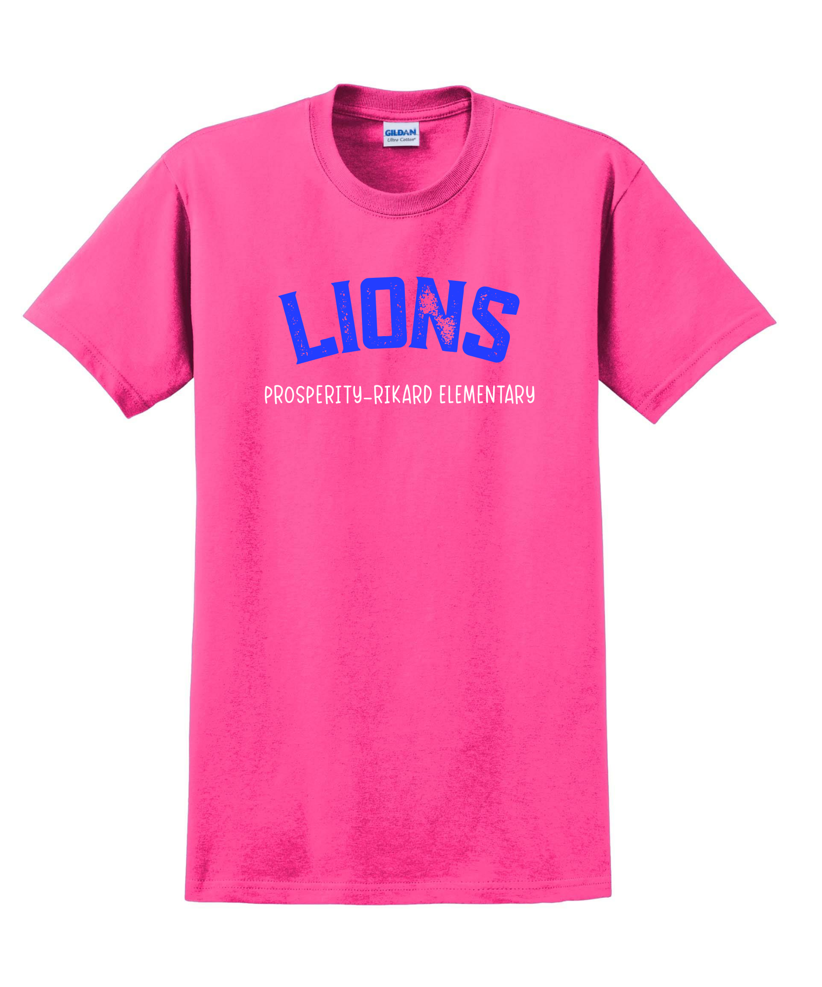 Lions Distressed Tee