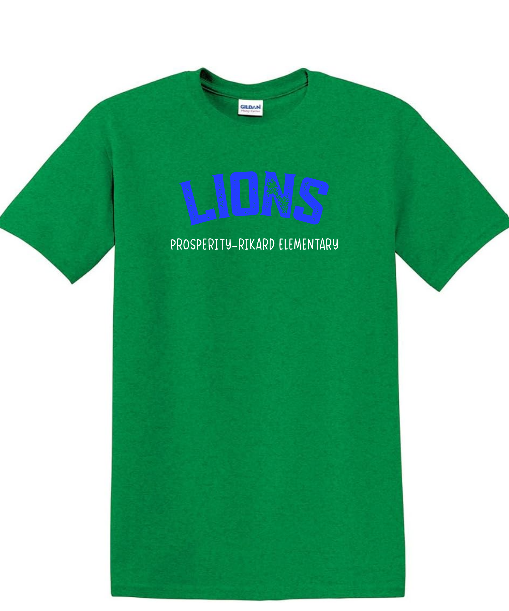 Lions Distressed Tee