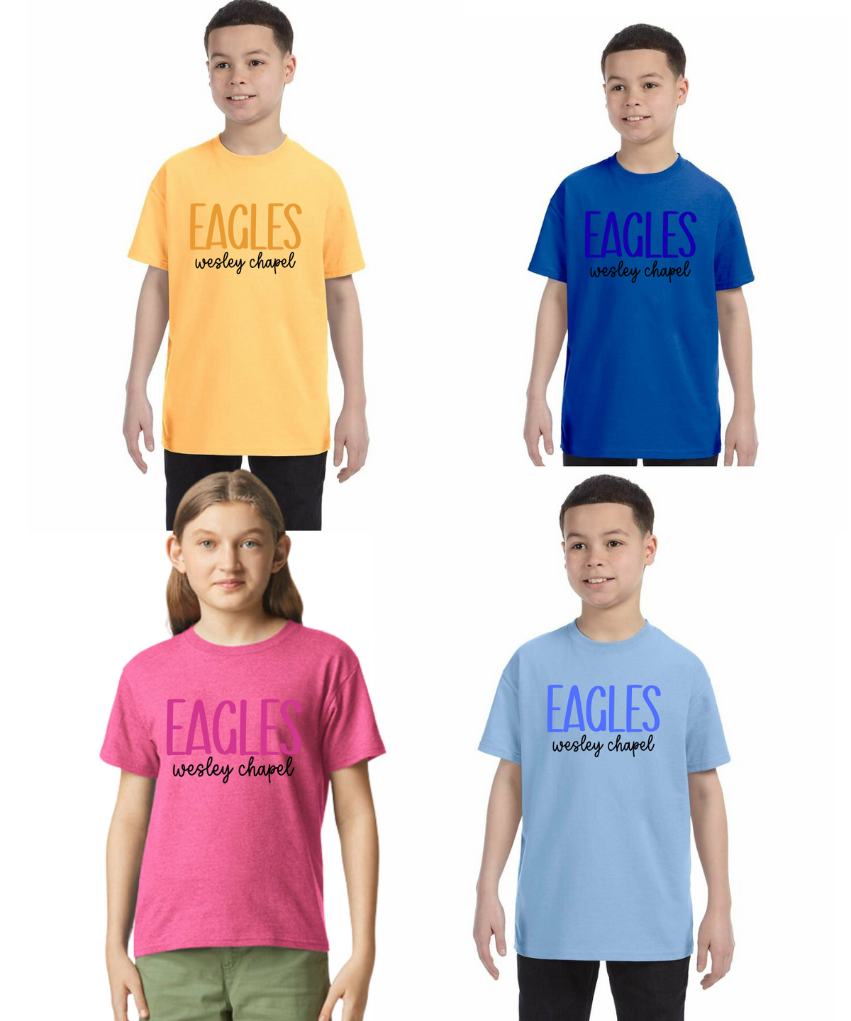 WCES Color Tee