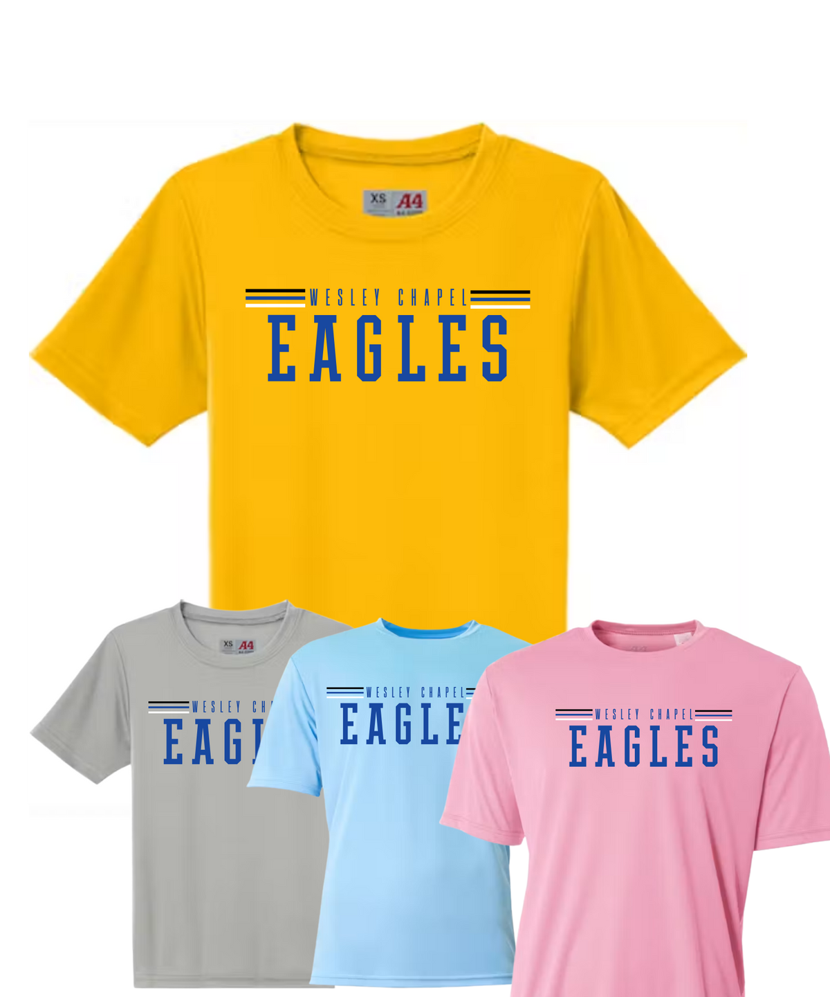 WCES Dri-fit Varsity Shirt - YOUTH ONLY!
