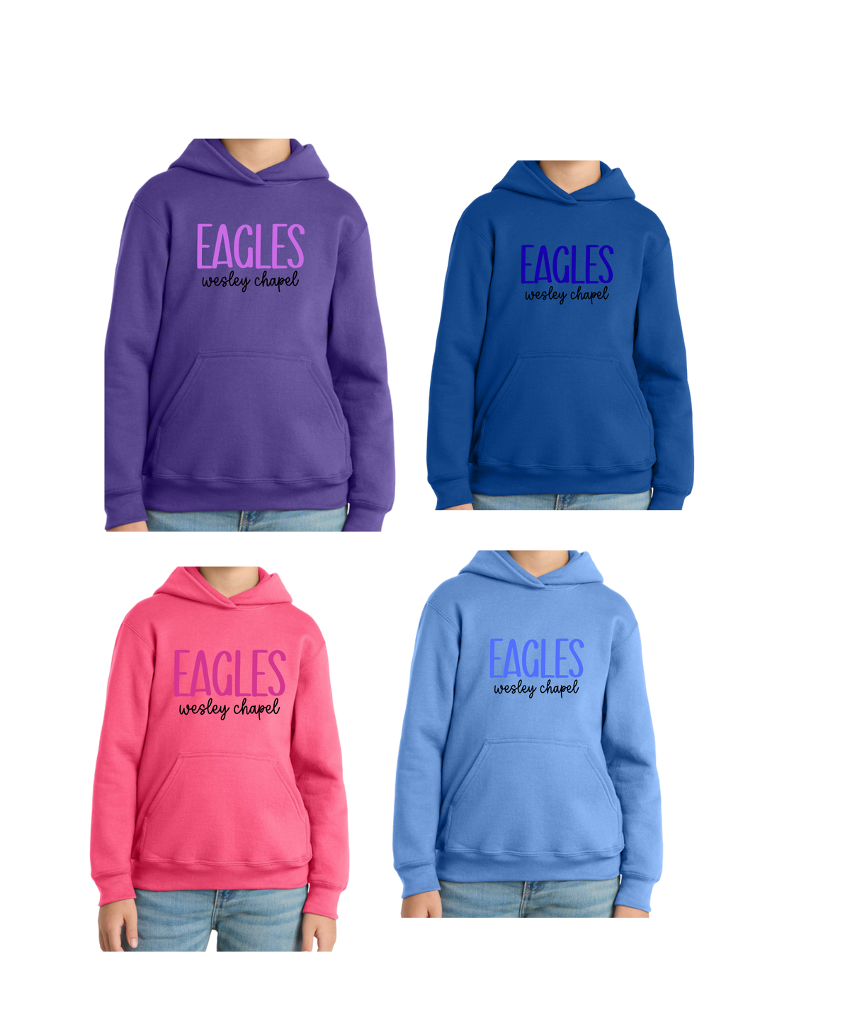 WCES Color Sweatshirt - ADULT (Copy)