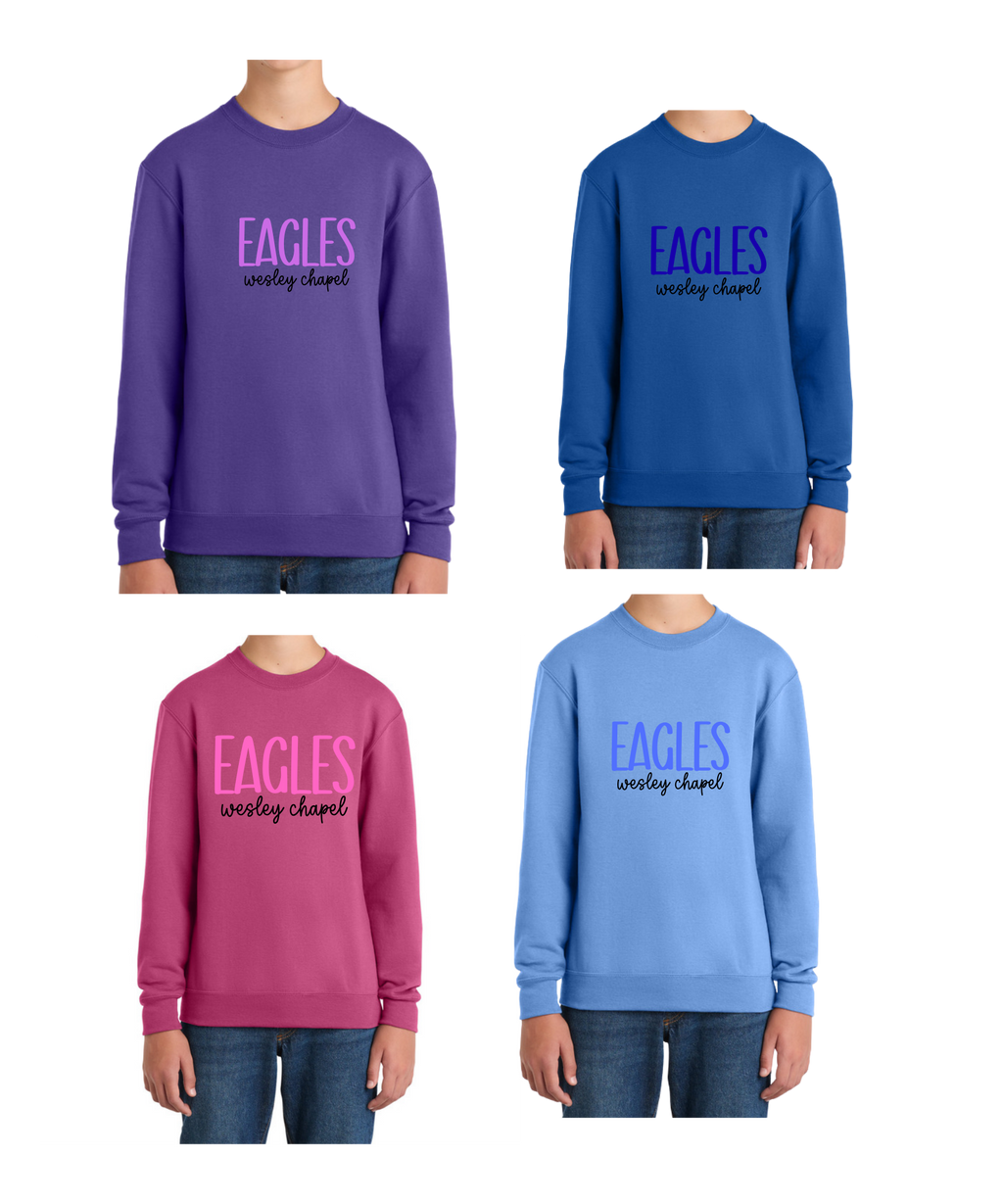 WCES Color Sweatshirt - ADULT (Copy)